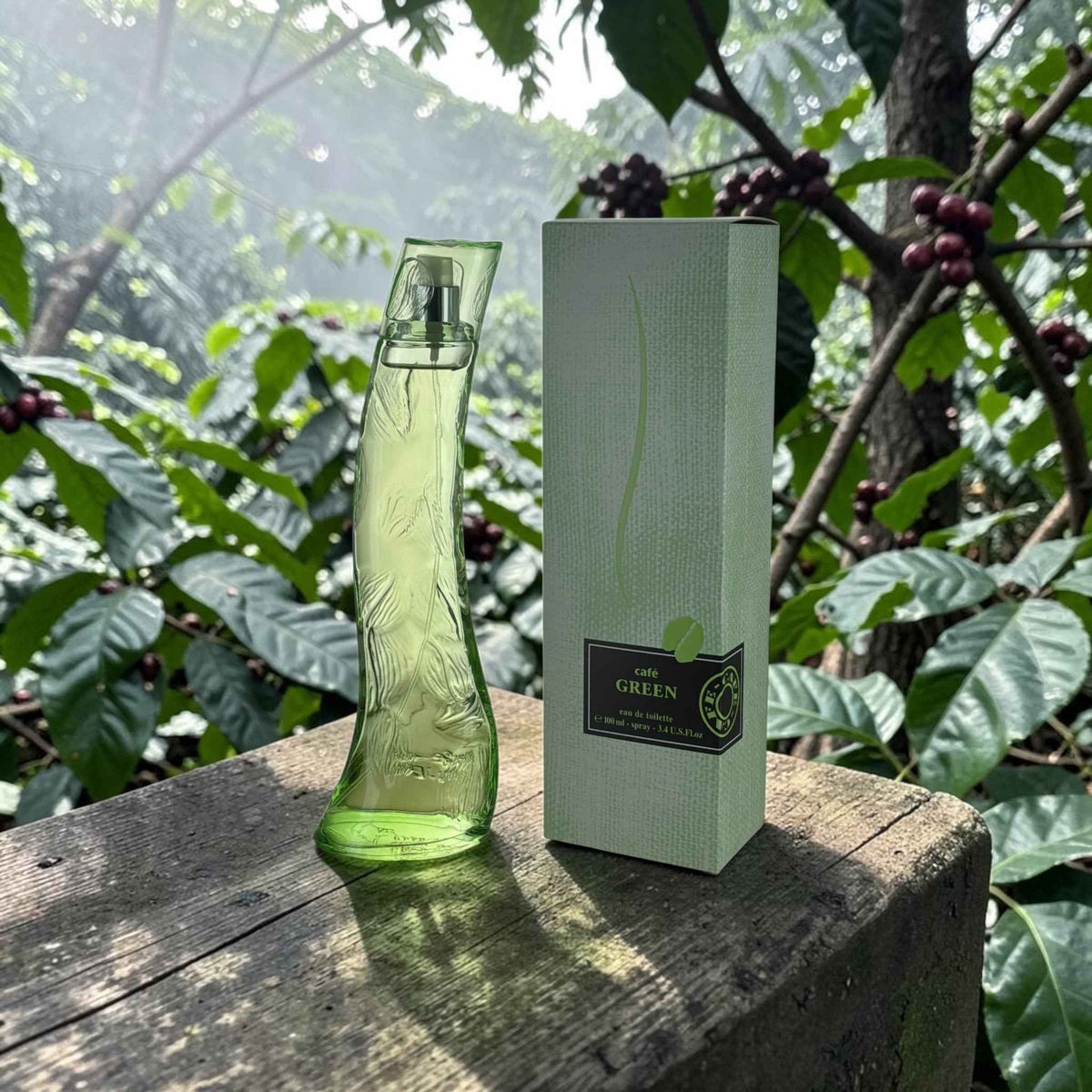 Cafe Green Cafe Parfums Perfume for Women | Internet Global Market