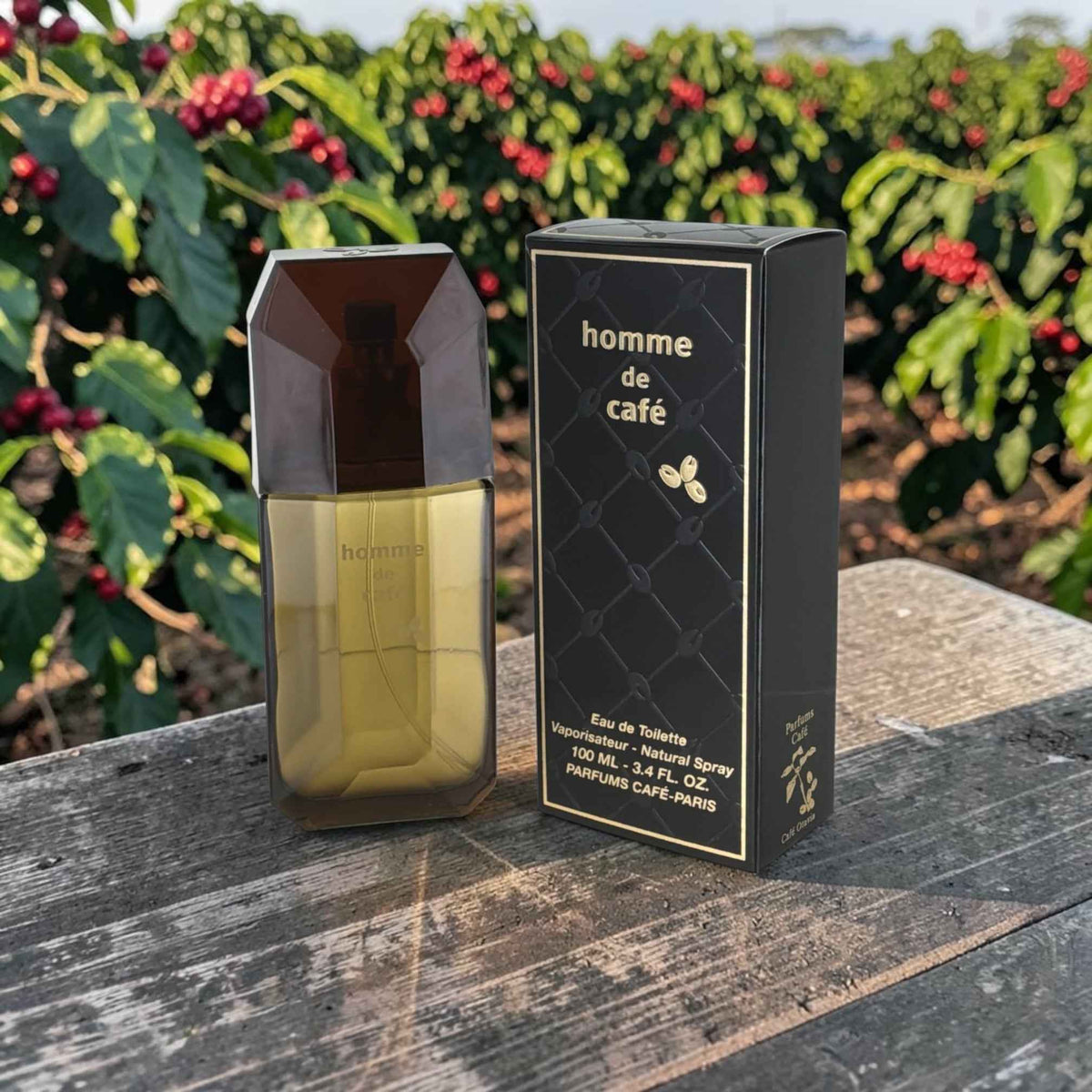 Homme de Café by Cafe Parfums for Men EDT | Internet Global Market
