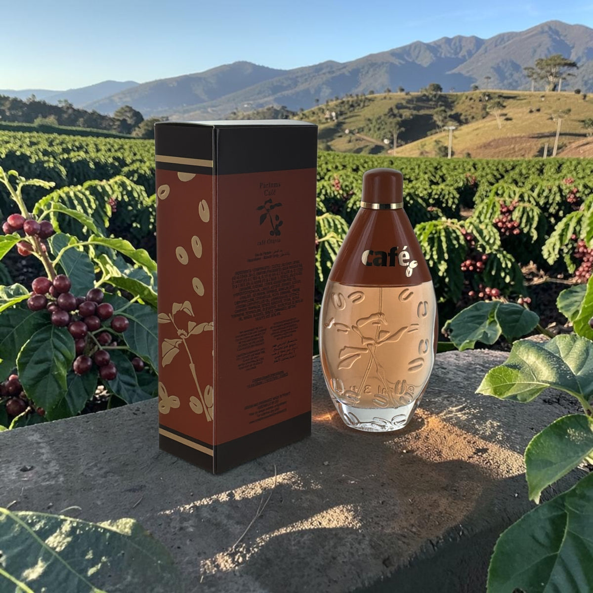 Cofinluxe Cafe Cafe women's perfume box, everyday fragrance packaging"