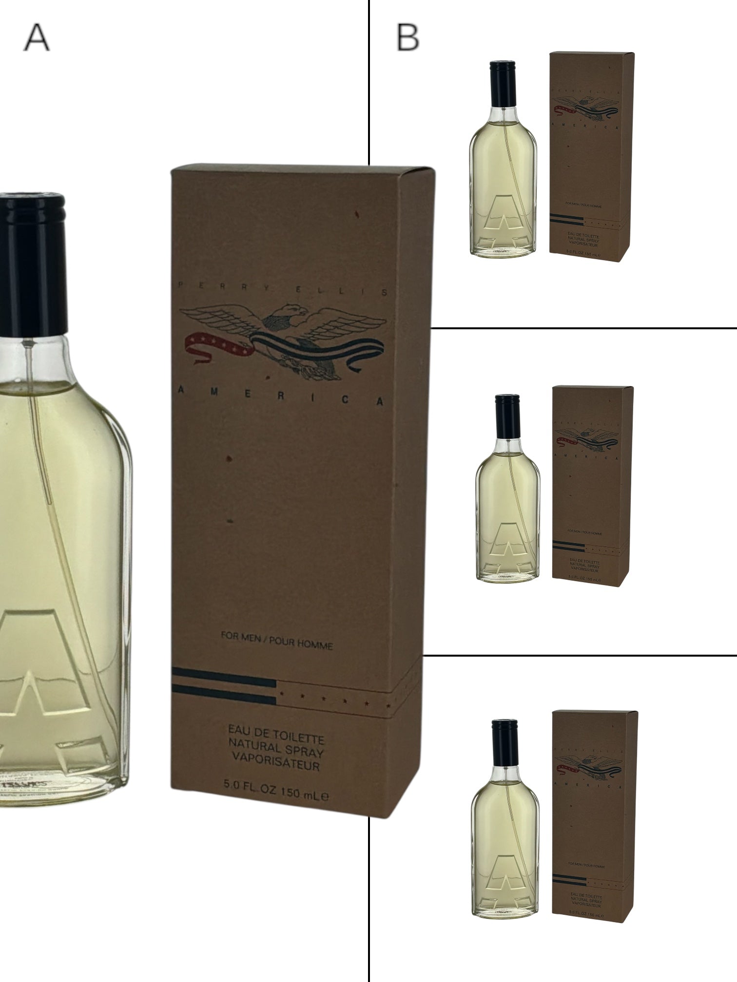 AMERICA PERRY ELLIS for Men